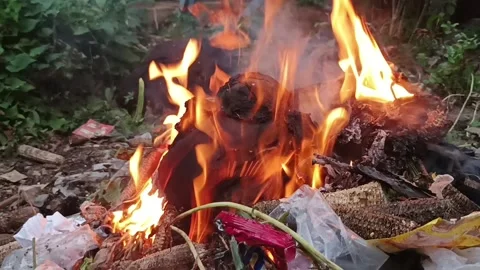 Fire Stock Footage 235533402