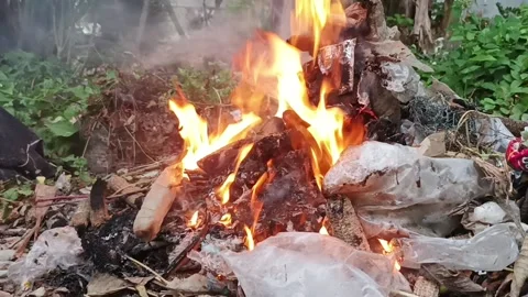 Fire Stock Footage 235533404