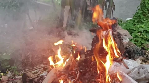 Fire Stock Footage 235533486