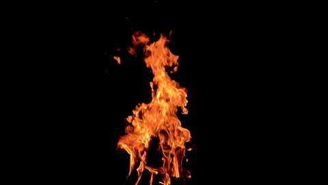 FIRE Stock Footage 237055732