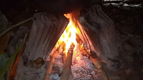 Fire Video stock 242377485