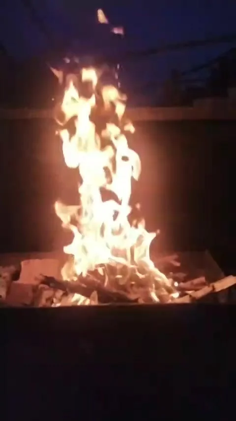 Fire Stock Footage 250313794