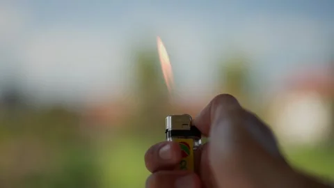 Fire Stock-Footage 252967427