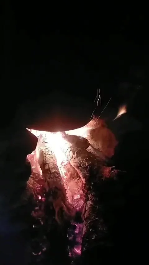Fire Stock Footage 317453676
