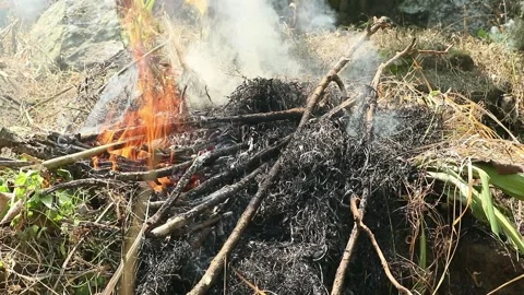 Fire 库存影片 336712454
