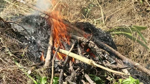 Fire 库存影片 336712496