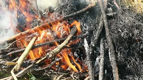 Fire Stock Footage 336717749