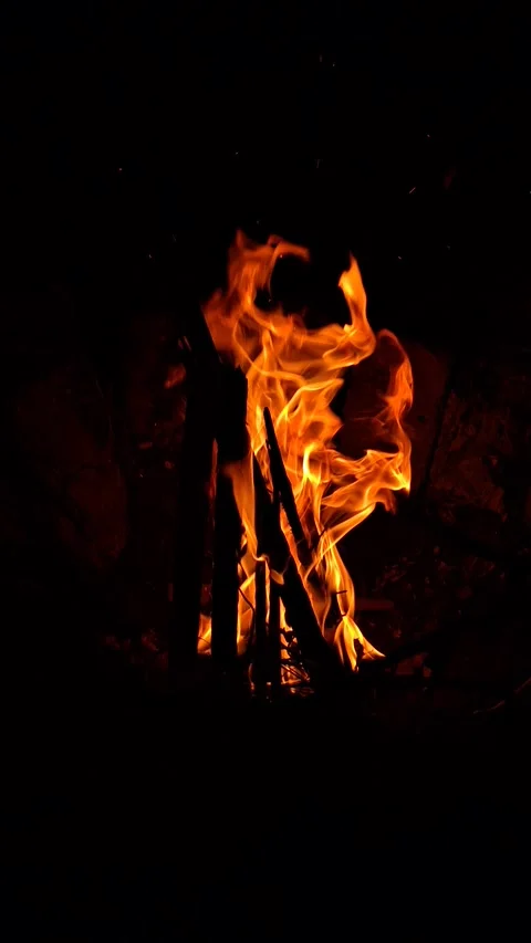 Fire Stock Footage 341676583