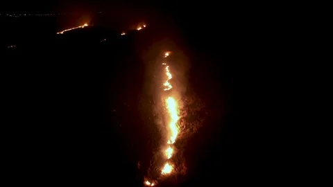 Fire in the forest 1 Stock Footage 104070258