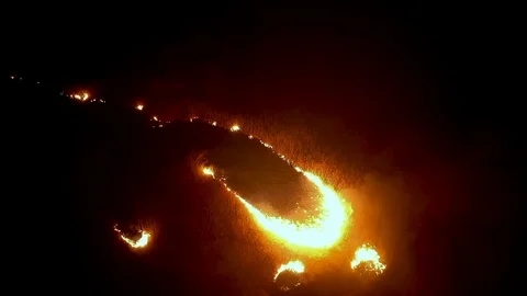 Fire in the forest 3 Stock Footage 104176598