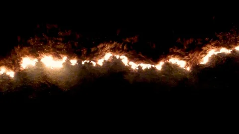 Fire in the forest 4 Stock Footage 104176606