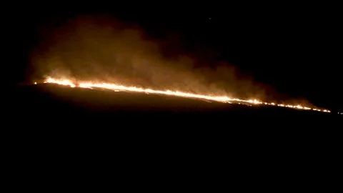 Fire in the forest 5 Stock Footage 104176601