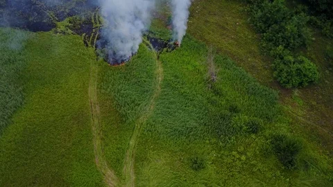Fire in the forest. Aerial shot of spreading fire through the green grass of a Stock Footage 124800543