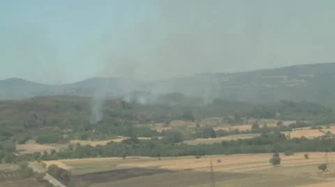 Fire in forest, aerial view Video stock 11166358