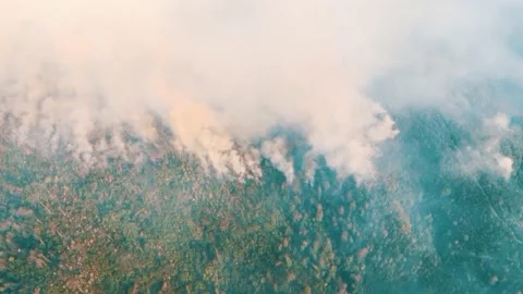 Fire in the Forest. Aerial view of large clouds of smoke and fire 스톡 동영상 204729979