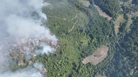 Fire in the Forest. Aerial view of large clouds of smoke and fire 스톡 동영상 204729987