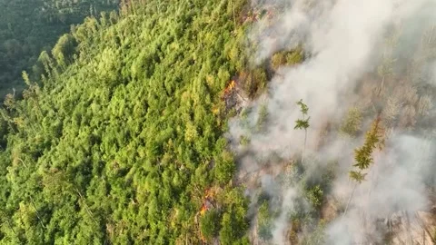 Fire in the Forest. Aerial view of large clouds of smoke and fire 스톡 동영상 204730012