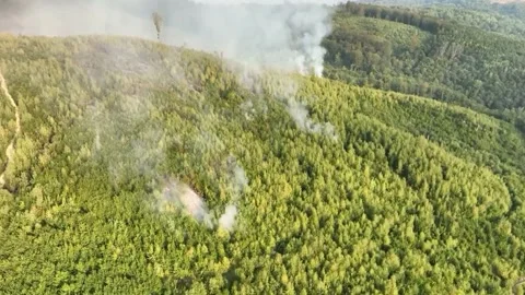Fire in the Forest. Aerial view of large clouds of smoke and fire 스톡 동영상 204730036