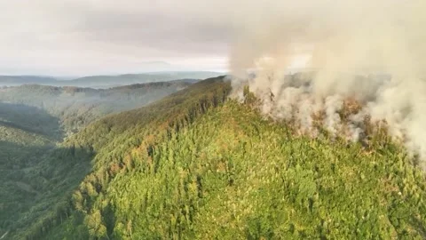 Fire in the Forest. Aerial view of large clouds of smoke and fire 스톡 동영상 204730050