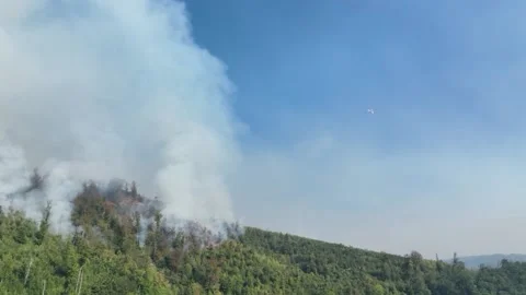 Fire in the Forest. Aerial view of large clouds of smoke and fire 스톡 동영상 204730062