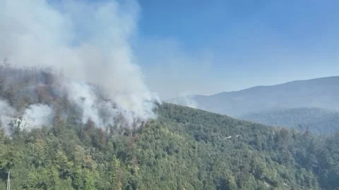 Fire in the Forest. Aerial view of large clouds of smoke and fire 스톡 동영상 204730071