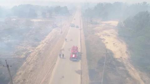 Fire in the forest. After extinguishing the fire. Trees are burning. Video stock 155243251