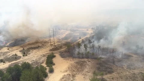 Fire in the forest. After extinguishing the fire. Trees are burning. Stock-Footage 155243253