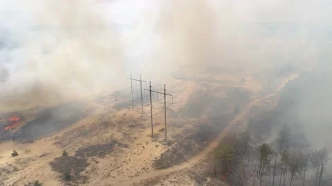 Fire in the forest. After extinguishing the fire. Trees are burning. Stock-Footage 155243272