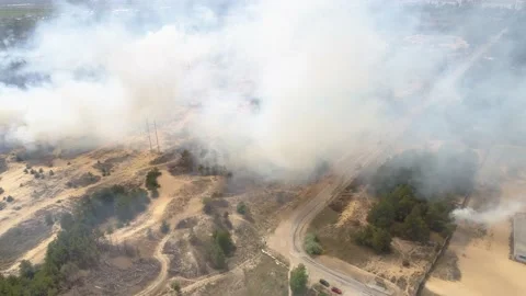 Fire in the forest. After extinguishing the fire. Trees are burning. 스톡 동영상 155243290