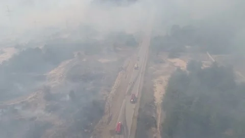 Fire in the forest. After extinguishing the fire. Trees are burning. Video stock 155243301