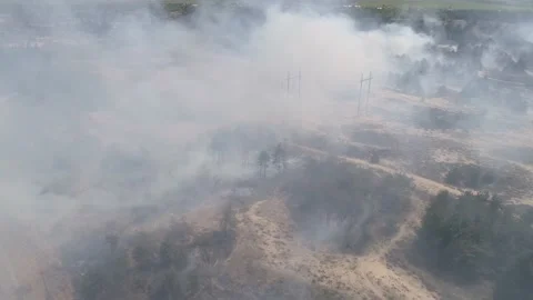 Fire in the forest. After extinguishing the fire. Trees are burning. Stock-Footage 155243307