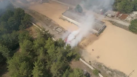 Fire in the forest. After extinguishing the fire. Trees are burning. Stock-Footage 155243330