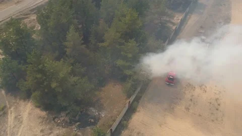 Fire in the forest. After extinguishing the fire. Trees are burning. Stock-Footage 155243341