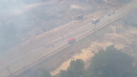 Fire in the forest. After extinguishing the fire. Trees are burning. Stock-Footage 155243344
