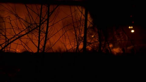 A fire in the forest. Branches on a blurry background of red orange fire Stock Footage 166368522