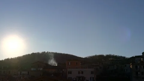 Fire in forest, burning trees and bushes, polluting fresh air. Deforestation Stock Footage 124704317