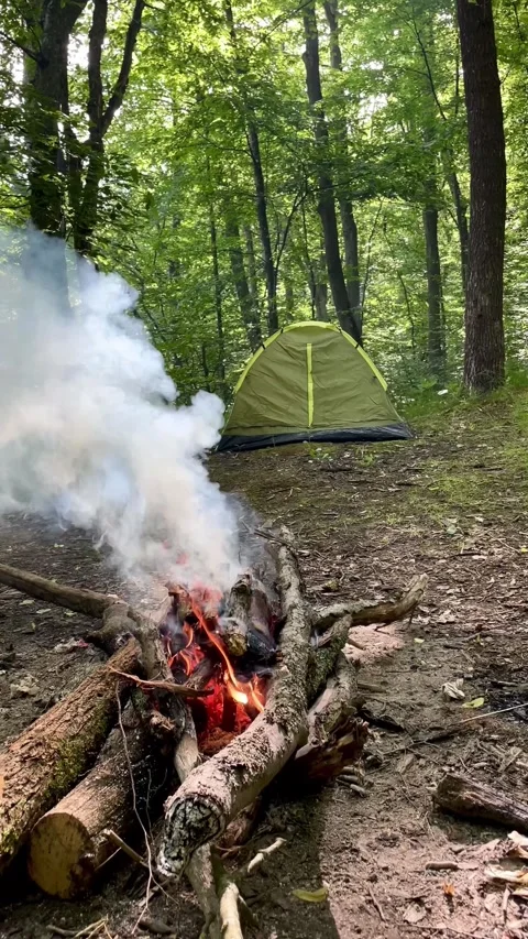 Fire in the forest with camping Stock Footage 245616311