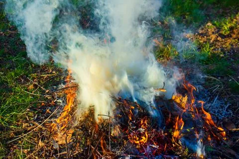 Fire in the forest, fire in the garden Stock Photos