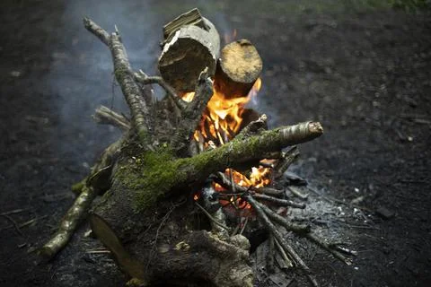Fire in forest. Flame is yellow. Burning of dry branches. 写真素材