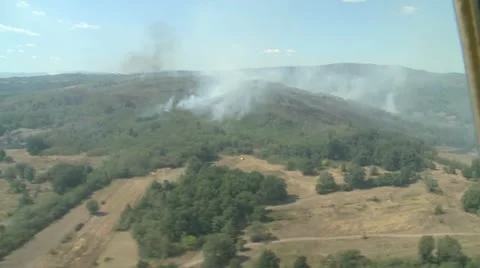 Fire in forest Stock Footage 11166127