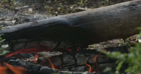 The fire in the forest Video stock 64802102