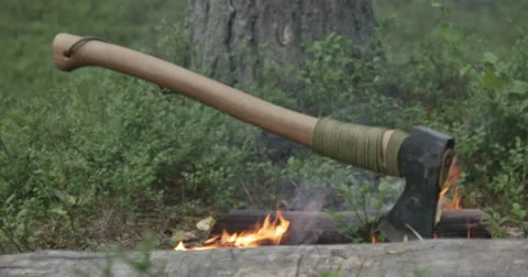 The fire in the forest Stock Footage 64803464