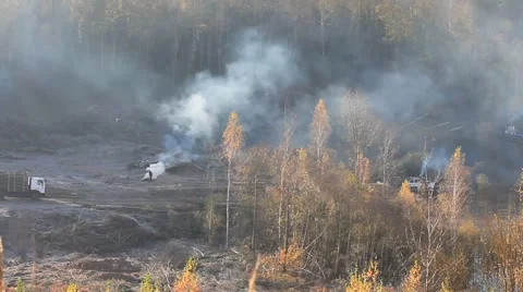 A fire in the forest Stock Footage 68712124