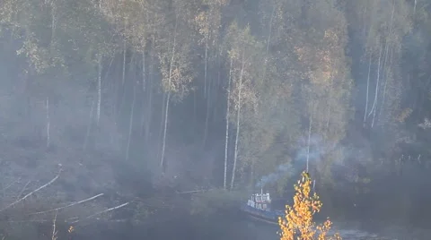 A fire in the forest Stock Footage 68712212
