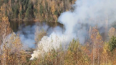 A fire in the forest Stock Footage 68712948