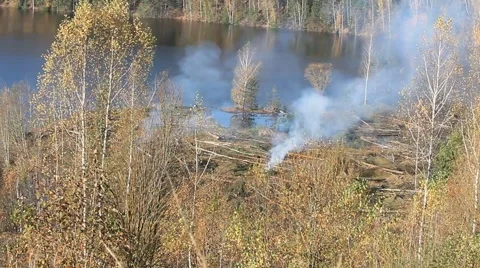A fire in the forest Stock Footage 68713012