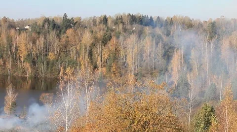 A fire in the forest Stock Footage 68713075