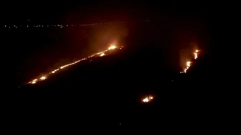 Fire in the forest Stock Footage 104072525