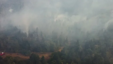 Fire in the forest  Stock Footage 205458790