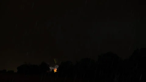 Fire in a forest 库存影片 270068965